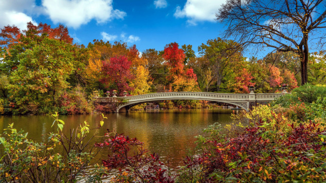 Обои картинки фото природа, парк, осень, река, мост
