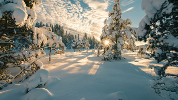 Картинка norwegian+winter природа зима norwegian winter