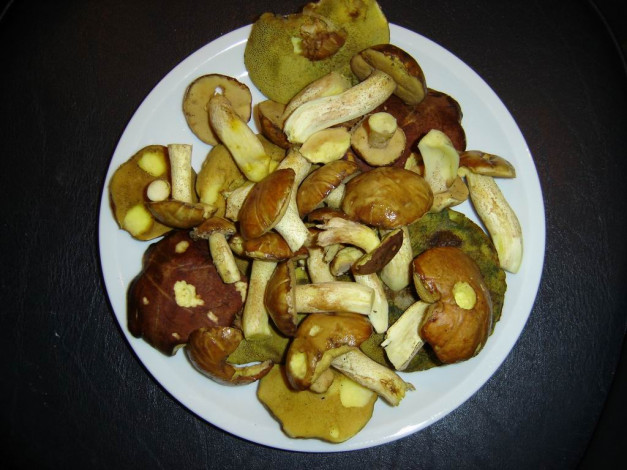 Обои картинки фото монакские, маслята, еда, грибы, грибные, блюда