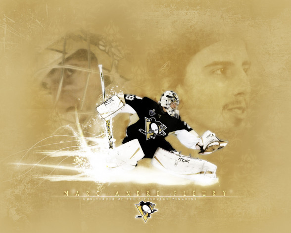 Обои картинки фото fleury, спорт, nhl