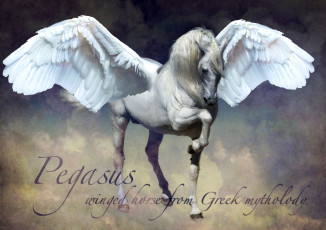 Картинка фэнтези пегасы крылья конь