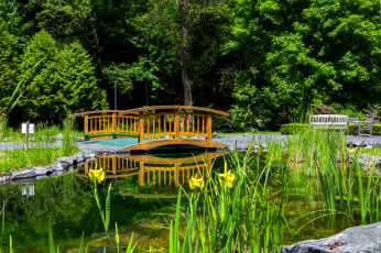 Картинка германия бад бертрих природа парк растения мостик водоем