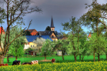 Картинка германия гессен хунген города пейзажи дома деревья трава
