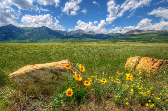 Обои картинки фото waterton, park, alberta, канада, природа, луга, трава, долина, горы, цветы