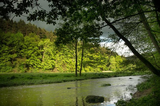 Обои картинки фото германия, бавария, лёйхтенберг, природа, реки, озера, река, лес