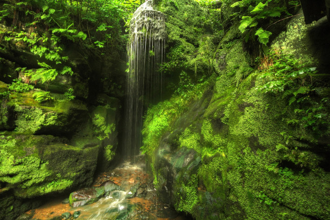Обои картинки фото германия, саксония, природа, водопады, лес, водопад