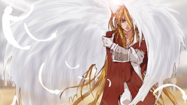Обои картинки фото аниме,  angel, арт, ixaga, d, n, angel, krad, парень, крылья