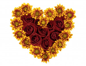 Картинка цветы букеты +композиции композиция хризантемы сердце розы