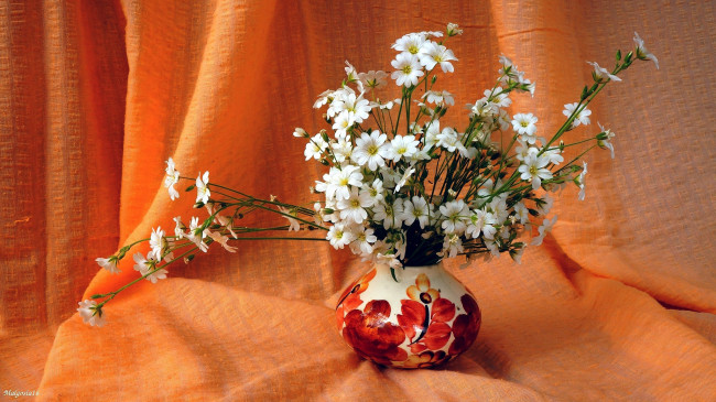 Обои картинки фото цветы, Ясколка, букет, ваза, драпировка