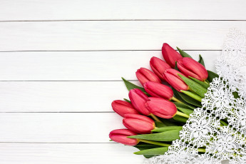 Картинка цветы тюльпаны бутоны кружево