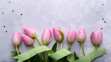 Картинка цветы тюльпаны бутоны лента