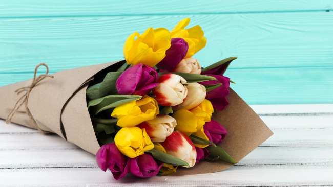 Обои картинки фото цветы, тюльпаны, букет, бутоны