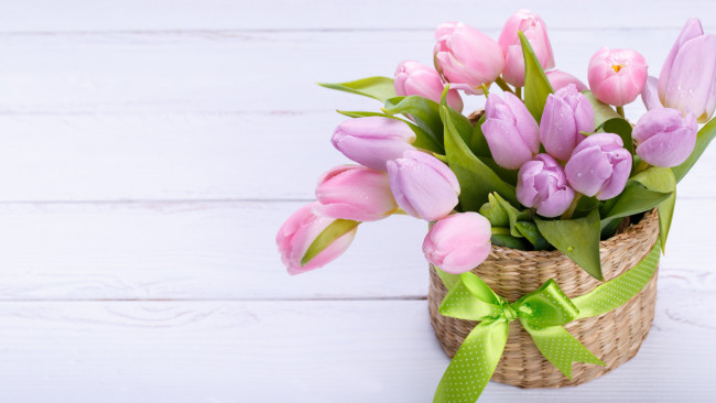 Обои картинки фото цветы, тюльпаны, бутоны, ваза
