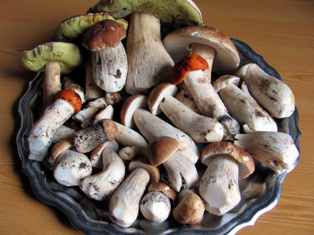 Обои картинки фото еда, грибы,  грибные блюда, лесные, боровики, подосиновики