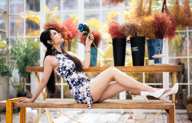 Обои картинки фото девушки, - азиатки, брюнетка, платье, каблуки, скамейка, роза, sakura, cherry