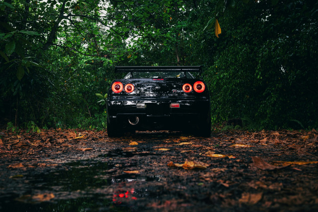 Обои картинки фото автомобили, nissan, datsun, black, skyline, r34, spoiler, trees, leaves