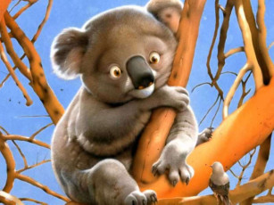 Картинка рисованные животные коалы