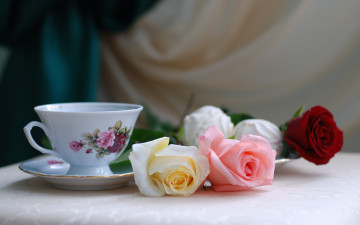 Картинка цветы розы чашка