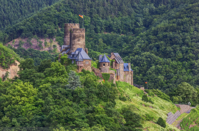Обои картинки фото burg, thurant, германия, города, дворцы, замки, крепости, замок, лес, гора