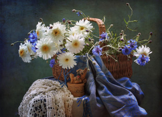 Картинка цветы луговые+ полевые +цветы ромашки васильки