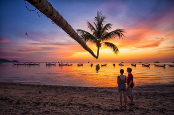 Картинка tao +thailand разное мужчина+женщина thailand пляж пальма закат лодки сиамский залив таиланд тао