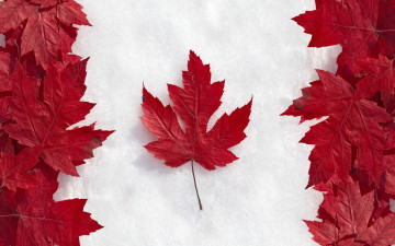 обоя разное, флаги,  гербы, клен, кленовые, снег, красные, листья, флаг, канада