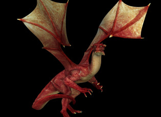 Картинка 3д+графика существа+ creatures фон дракон
