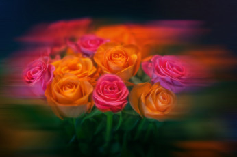 Картинка разное компьютерный+дизайн розовые оранжевые розы обработка размытость