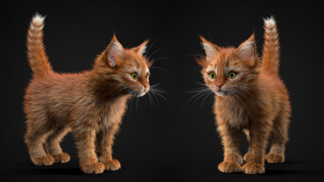 Картинка 3д+графика животные+ animals фон взгляд кошки