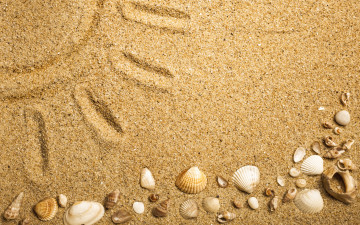Картинка разное ракушки +кораллы +декоративные+и+spa-камни песок texture sand seashells marine beach