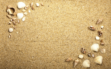 обоя разное, ракушки,  кораллы,  декоративные и spa-камни, beach, texture, sand, песок, seashells, marine
