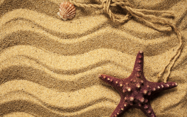 Обои картинки фото разное, ракушки,  кораллы,  декоративные и spa-камни, beach, texture, sand, песок, starfish, marine, морская, звезда