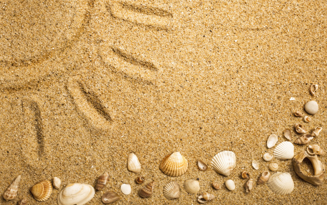 Обои картинки фото разное, ракушки,  кораллы,  декоративные и spa-камни, песок, texture, sand, seashells, marine, beach