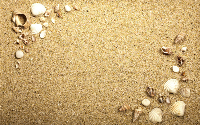 Обои картинки фото разное, ракушки,  кораллы,  декоративные и spa-камни, beach, texture, sand, песок, seashells, marine