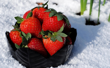 обоя еда, клубника,  земляника, ягоды, снег