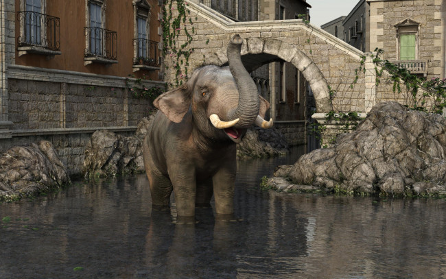 Обои картинки фото 3д графика, животные , animals, слон, фон
