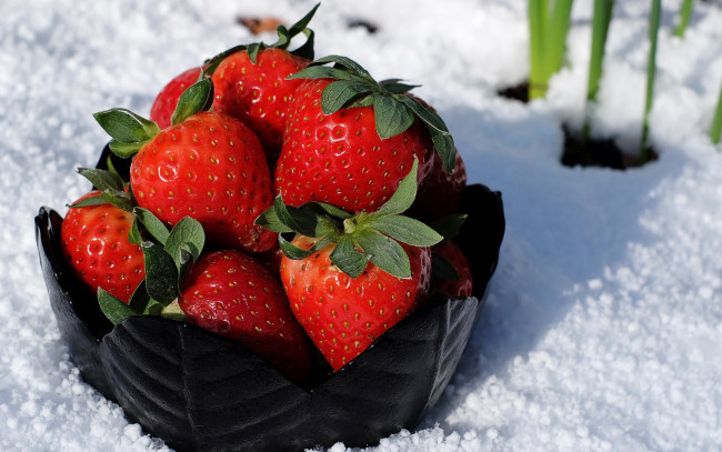 Обои картинки фото еда, клубника,  земляника, ягоды, снег