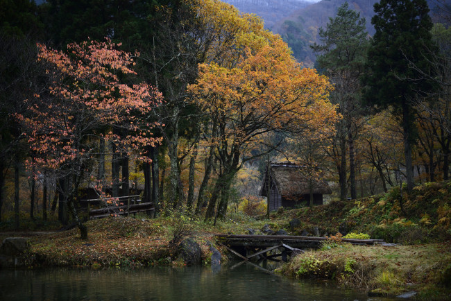 Обои картинки фото природа, лес, река