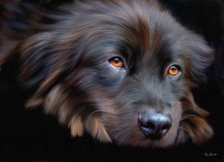 Картинка рисованное животные картина собака печаль