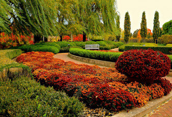 Картинка природа парк цветы разноцветные дорожка аллея