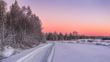Картинка природа дороги лес сугробы снег дорога зима