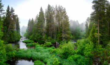 Картинка природа реки озера деревья