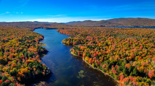 Обои картинки фото природа, реки, озера, сша, лес, река, небо, осень, штат, нью-йорк, деревья, higgins, bay, пейзаж