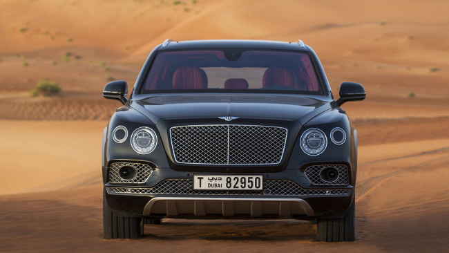 Обои картинки фото bentley bentayga falconry by mulliner 2017, автомобили, bentley, 2017, mulliner, falconry, bentayga