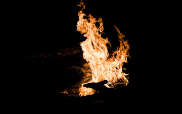 Картинка природа огонь костер пламя