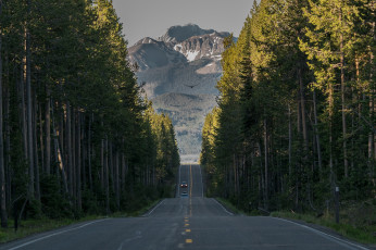 Картинка природа дороги дорога
