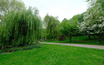 Картинка природа парк весенний