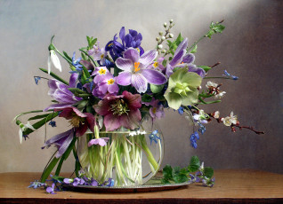 Картинка цветы букеты +композиции ирис крокусы геллеборус
