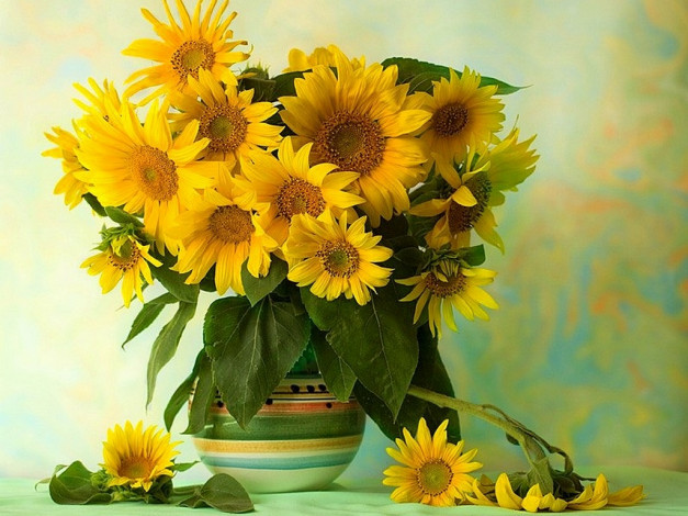 Обои картинки фото funtry, солнечный, цветы, подсолнухи