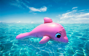 Картинка разное игрушки вода дельфин розовый надувной